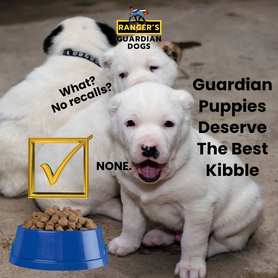 Turkmen Alabai guardian dog puppies sitting in front of a bowl of premium kibble puppy food.