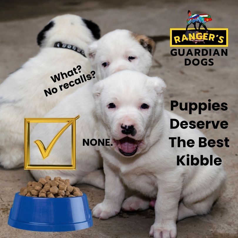 Turkmen Alabai guardian dog puppies sitting in front of a bowl of premium kibble puppy food with no recalls.