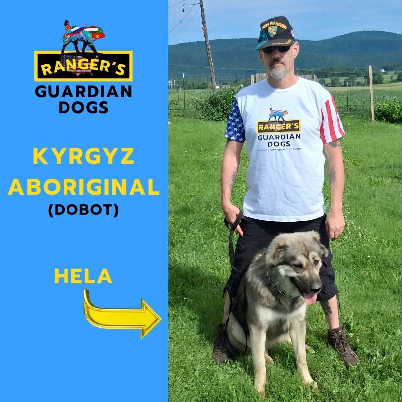 The owner of Ranger's Guardian Dogs standing in the grass with his Kyrgyz Aboriginal Central Asian Shepherd Dog named Hela, aka the Dobot.