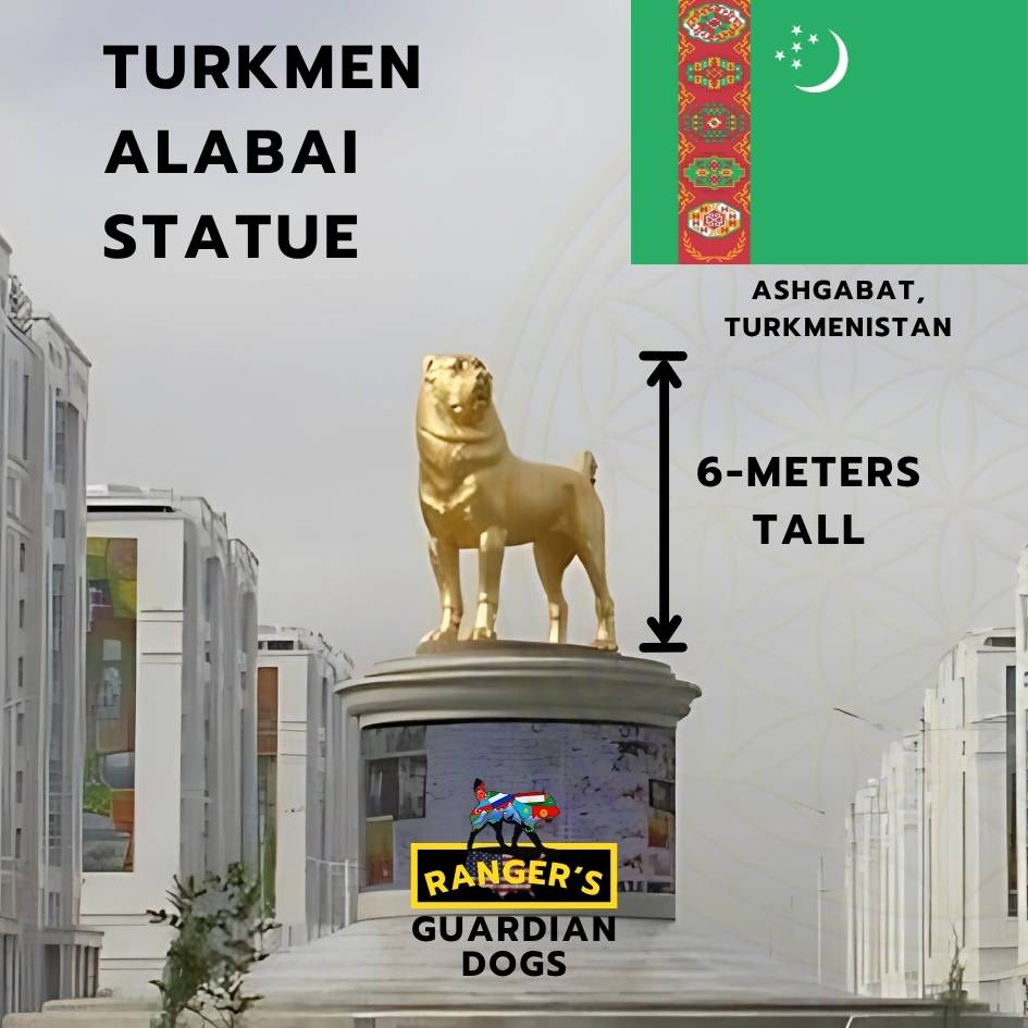 Infographic of the golden statue of a Turkmen Alabai Central Asian Shepherd Guardian Dog in the Ashgabat, the capital of Turkmenistan.