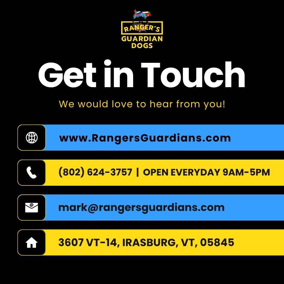 Infographic with contact info for Ranger's Guardian Dogs