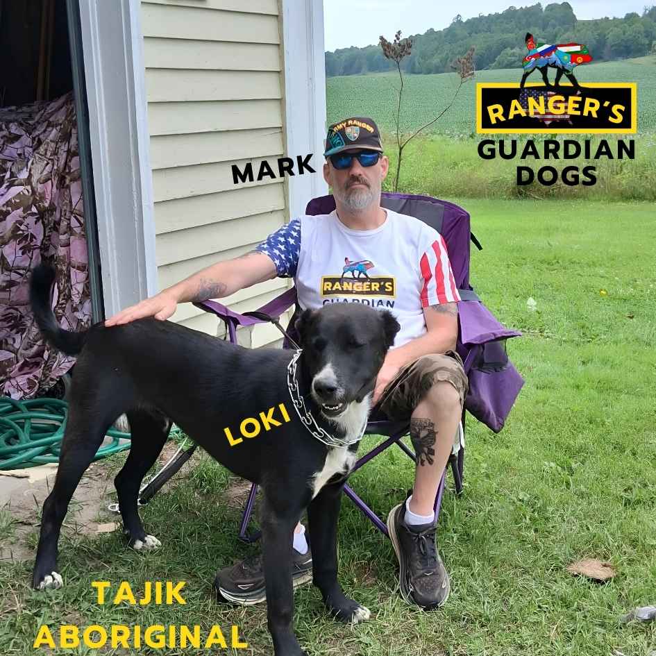 A photo of the Owner of Ranger's Guardian Dogs sitting in a chair with his Tajik Aboriginal Dog named Loki.